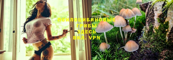 молекула духа Абаза