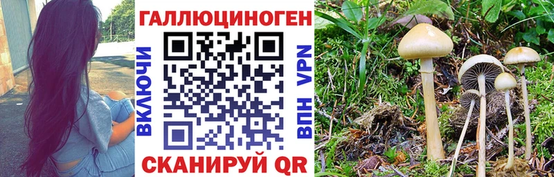 блэк спрут ССЫЛКА  Апатиты  Псилоцибиновые грибы Psilocybine cubensis 